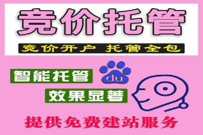 案例解析：SEM竞价代运营如何提升转化率